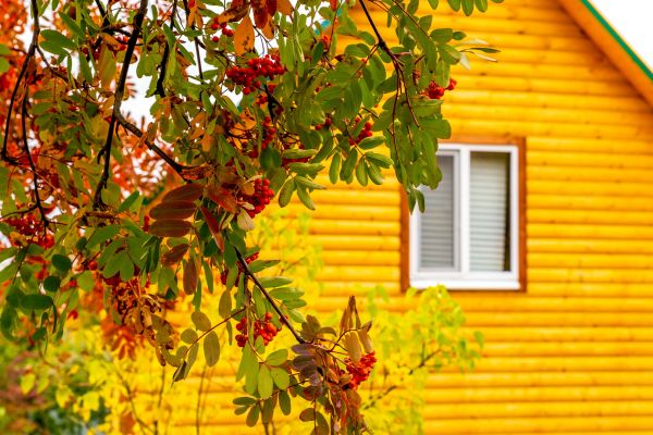 Garden Window Replacement in San Antonio